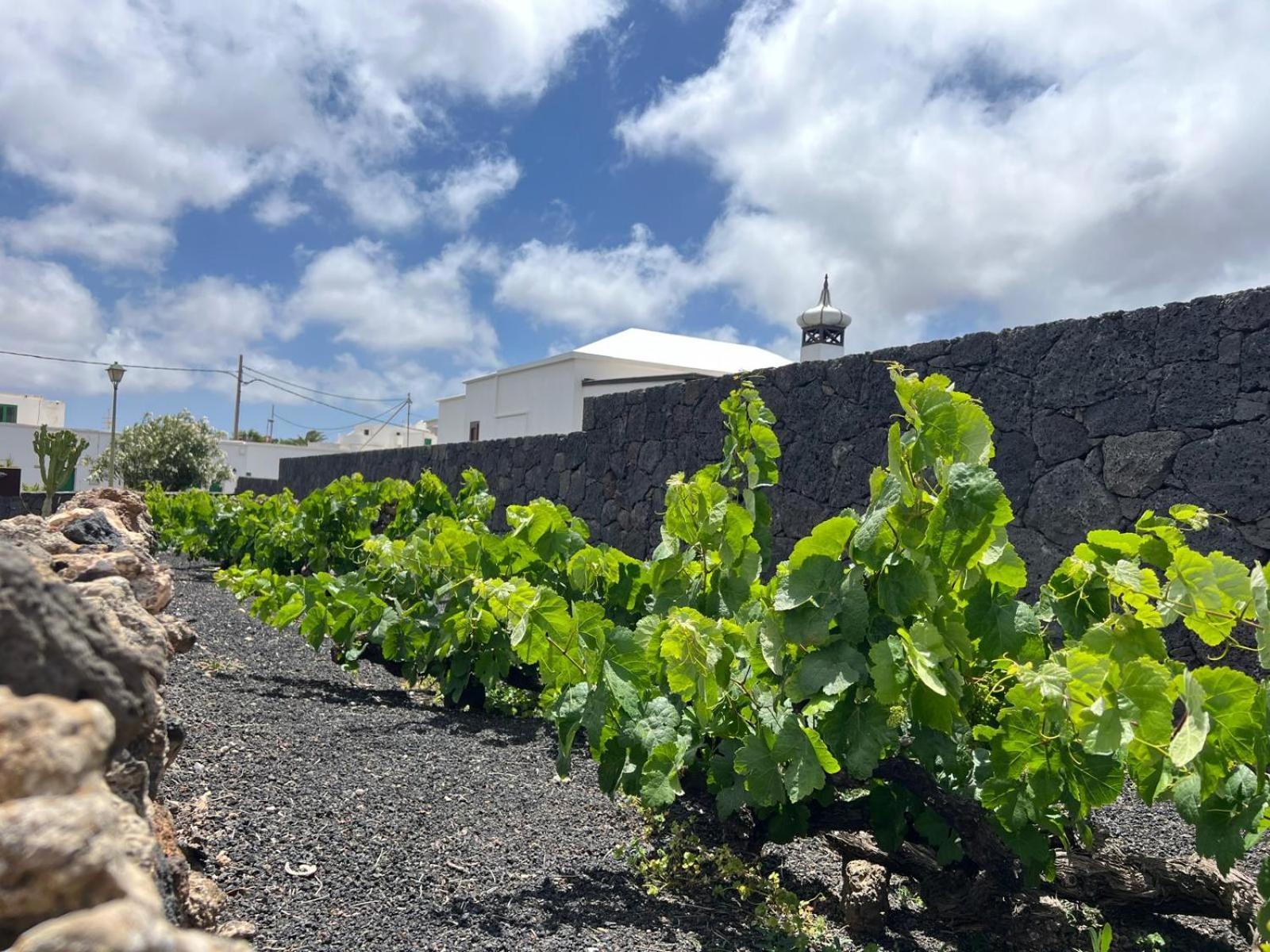 Casa Valeria Villa Tinajo Luaran gambar